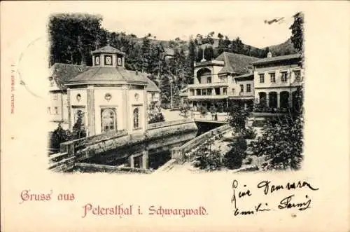 Ak Bad Peterstal Griesbach im Schwarzwald Baden, Teilansicht