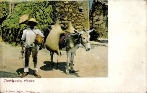 Ak Mexico, Tlachiquero, Einheimischer Kakteensafthändler mit seinem Esel