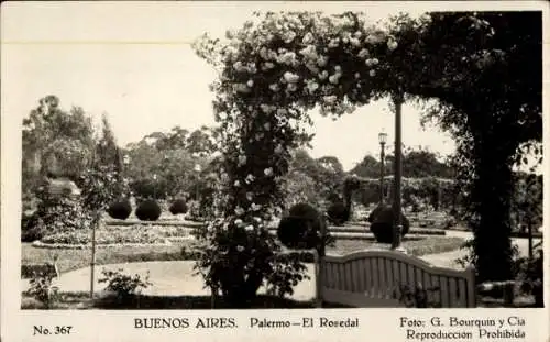 Ak Buenos Aires Argentinien, Palermo, Rosengarten