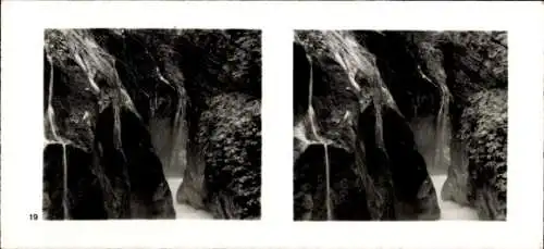 Stereo Foto Aus der Lebensgemeinschaft des Waldes, Wimbachklamm