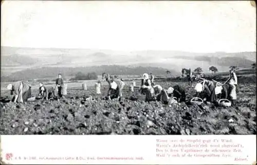 Ak Bauern bei der Arbeit, Acker, Landwirtschaft, Ernte