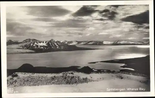 Ak Spitsbergen Spitzbergen Norwegen, Whales Bay