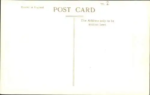 Ak Krüger Nationalpark, Löwin