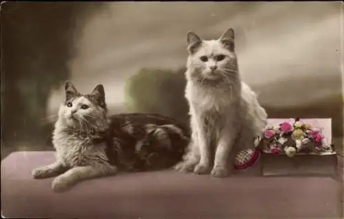 Ak Zwei Katzen, Blumen, Tierportrait