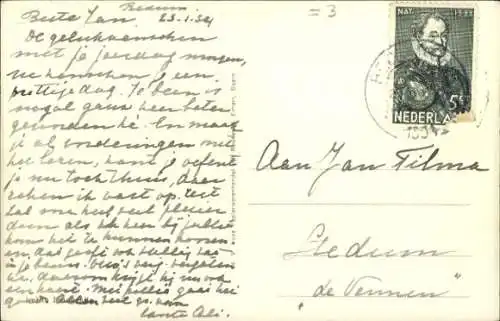 Ak Drei junge Hunde, Tierportrait