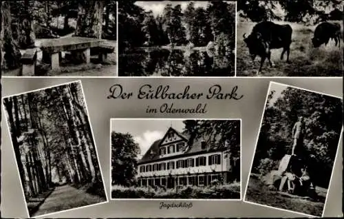 Ak Eulbach Michelstadt im Odenwald, Eulbacher Park, Jagdschloss, Bison, Denkmal