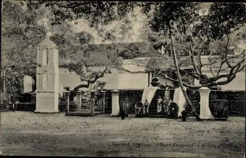 Ak Anuradhapura Sri Lanka, Blick zum Eingang