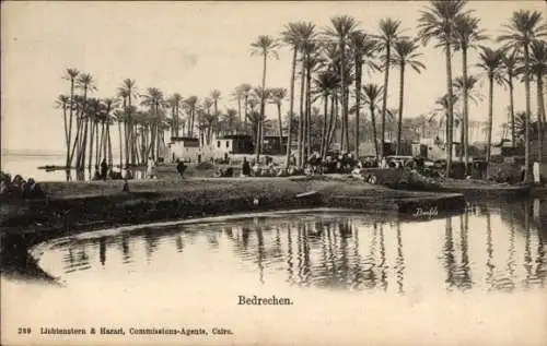 Ak Bedrechen Ägypten, Teilansicht, Ort, Palmen