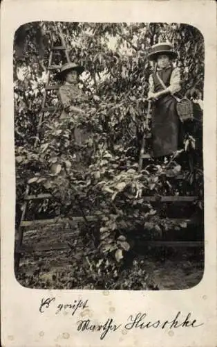 Foto Ak Zwei Frauen im Garten, Gartenarbeit, Leiter