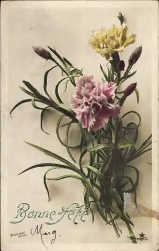 Ak Glückwunsch Geburtstag, Nelken