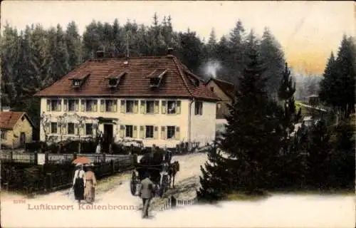 Ak Kaltenbronn Gernsbach im Murgtal Schwarzwald, Gebäude, Kutsche, Spaziergänger