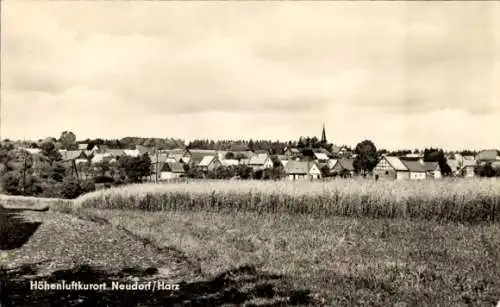 Ak Neudorf Harzgerode am Harz, Gesamtansicht