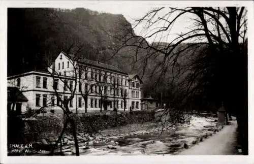 Ak Thale im Harz, Hotel Waldkater an der Bode