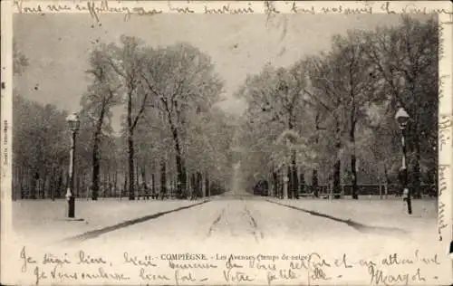 Ak Compiègne Oise, Les Avenues, Schnee