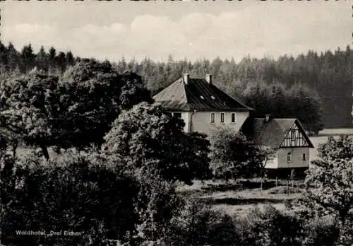 Ak Stahlhofen bei Westerburg im Westerwald, Hotel Drei Eichen, Wald, Harschbacher Feld