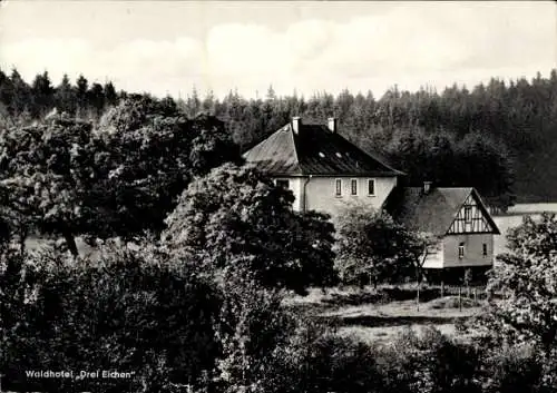 Ak Stahlhofen bei Westerburg im Westerwald, Hotel Drei Eichen, Wald, Harschbacher Feld