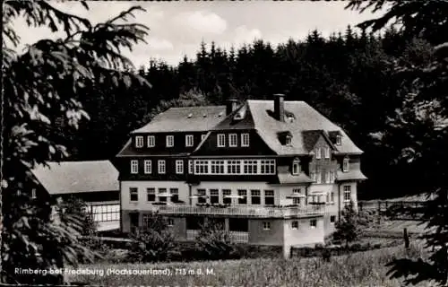 Ak Rimberg Schmallenberg im Sauerland, Hotel und Pension Knoche, Wald