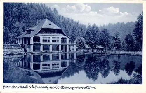 Ak Freudenstadt im Schwarzwald, Langenwaldsee