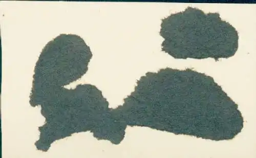 Studentika Foto Portrait eines Studenten in Uniform, Mütze