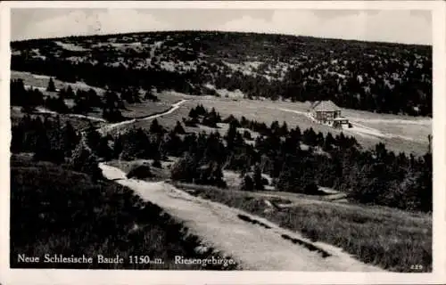 Ak Schlesische Riesengebirge Schlesien, Neue schlesische Baude, Bes. H. Adolph