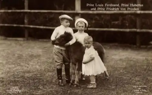 Ak Prinz Louis Ferdinand von Preußen, Prinz Hubertus, Prinz Friedrich, Pony