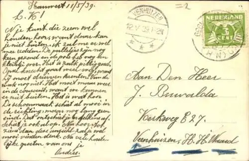 Ak Zwei junge Katzen, Tierportrait