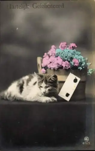 Ak Glückwunsch, Schlafende Katze, Blumen