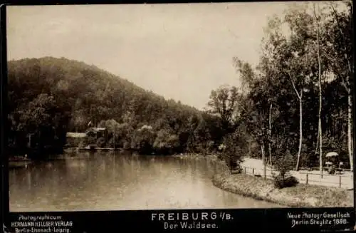 Ak Freiburg im Breisgau, Waldsee
