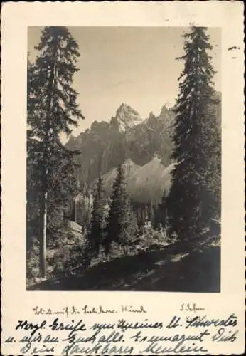 Foto Ak Waldpartie, Bergspitze, Fotograf Defner