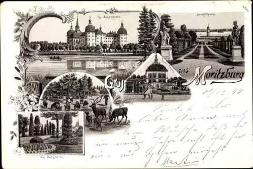 Litho Moritzburg in Sachsen, Königliches Jagdschloss, Leuchtturm, Hofgarten, Fasan Palais, Hirsche