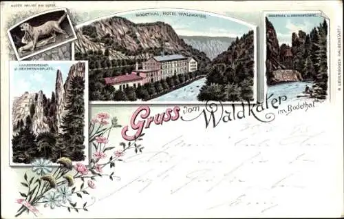 Litho Thale im Harz, Hotel Waldkater im Bodetal, Kronentempel, Hexentanzplatz, Hirschgrund