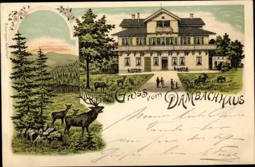 Litho Thale im Harz, Dambachhaus, Hirsche