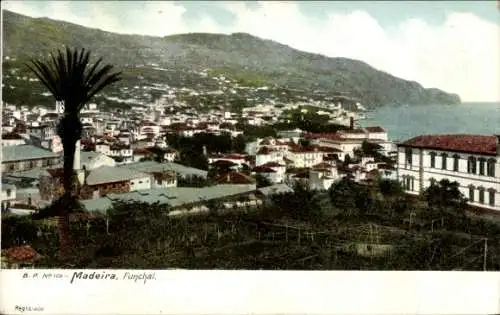 Ak Funchal Insel Madeira Portugal, Visão geral, Gesamtansicht