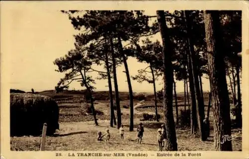 Ak La Grière La Tranche sur Mer Vendée, Entree de la Foret