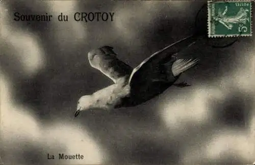 Ak Le Crotoy Somme, Mouette