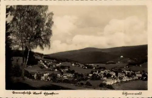 Ak Železná Ruda Markt Eisenstein im Böhmerwald Region Pilsen, Panorama