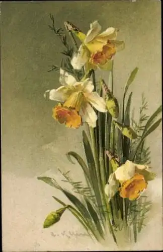Künstler Ak Klein, C., Gelbe Narzissen