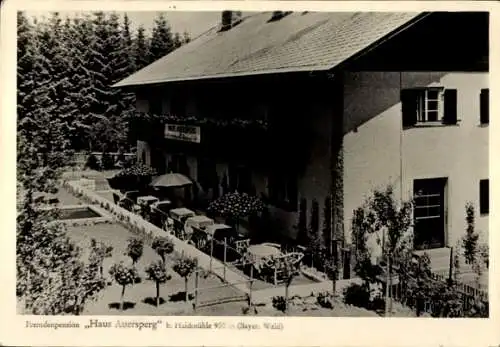 Ak Haidmühle an der Kalten Moldau Bayrischer Wald Niederbayern, Fremdenpension Haus Auersperg