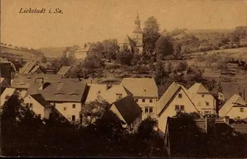 Ak Liebstadt Erzgebirge Sachsen, Gesamtansicht