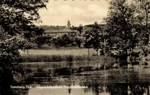 Ak Eisenberg in Thüringen, Vogelschutzstation Friedrichstanneck