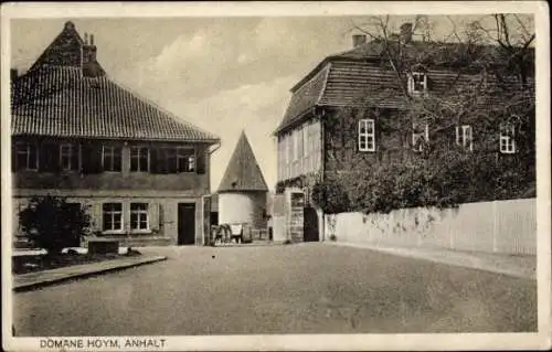 Ak Hoym in Anhalt, Domäne