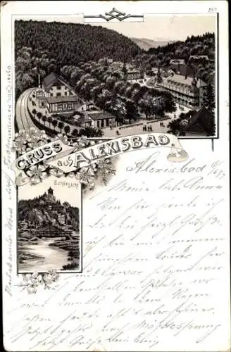 Litho Alexisbad Harzgerode am Harz, Panorama, Schönsicht