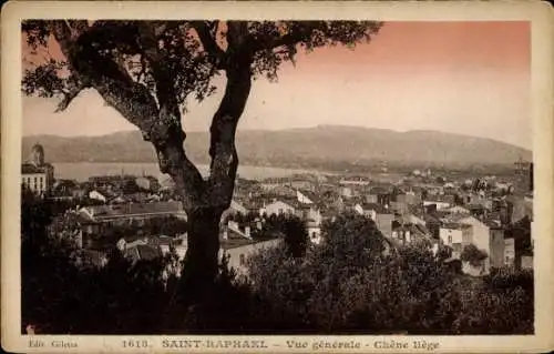 Ak Saint Raphaël Var, Vue generale, Chene liege