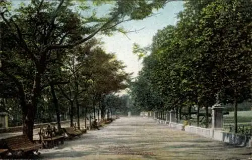 Ak Gibraltar, Alameda Gärten, Sitzbänke