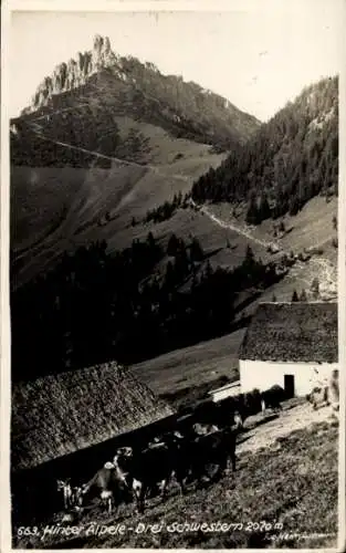 Ak Vorarlberg, Hinter Älpele, Drei Schwestern