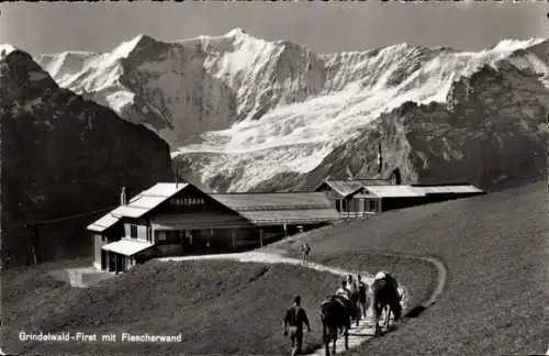 Ak Grindelwald Kanton Bern, Schreckhörner und Fischerwand, Bergrestaurant First