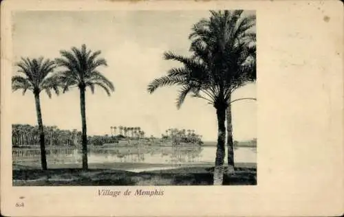 Ak Memphis Ägypten, Blick auf den Ort, Palmen, Nil