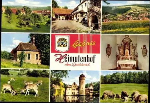 Ak Heimbuchenthal im Spessart, Heimatenhof, Wappen, Rotwild, Wildschweine, Panorama, Kirche