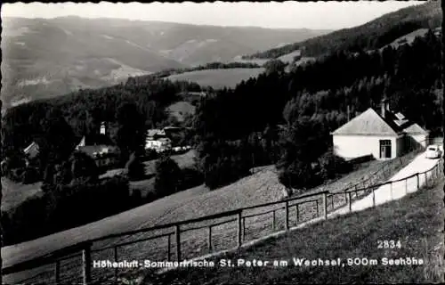 Ak St. Peter am Wechsel Niederösterreich, Panorama