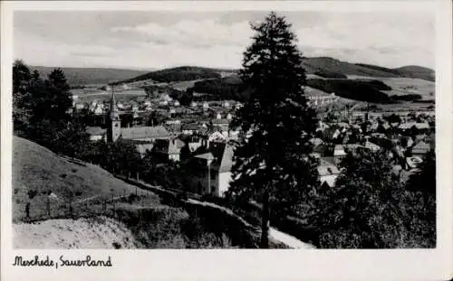 Ak Meschede im Sauerland, Panorama